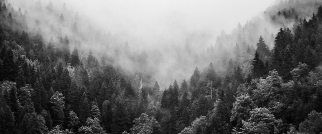 Landscape BW